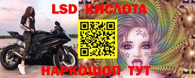 винт Славгород