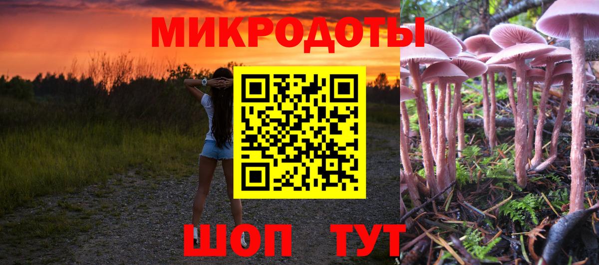 Галлюциногенные грибы ЛСД Заринск
