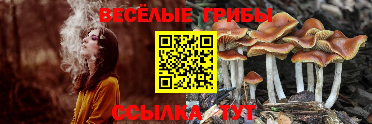 Заринск  Псилоцибиновые грибы Magic Shrooms  Вход с VPN  Псилоцибиновые грибы ЛСД 